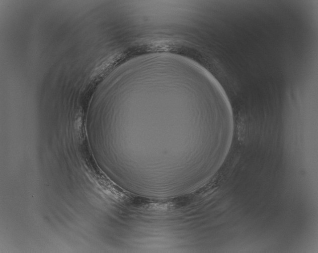 X0000076330314200610201711