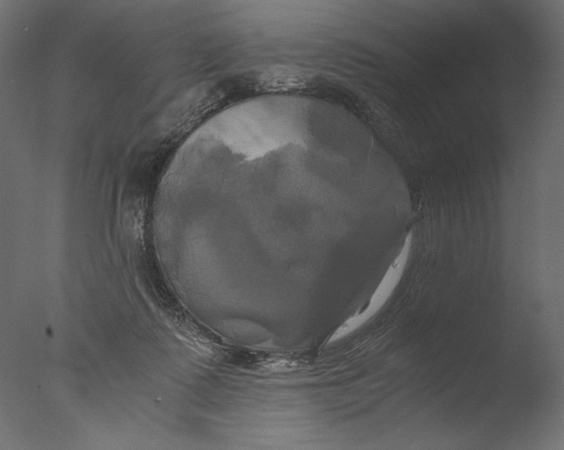 X0000076330315200610201711