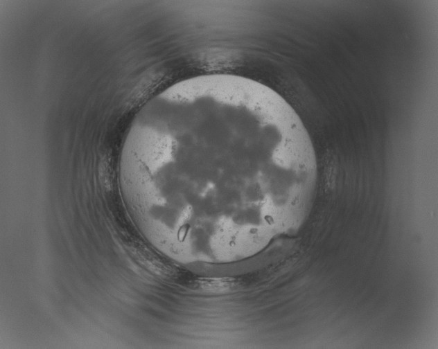 X0000076330316200610201711