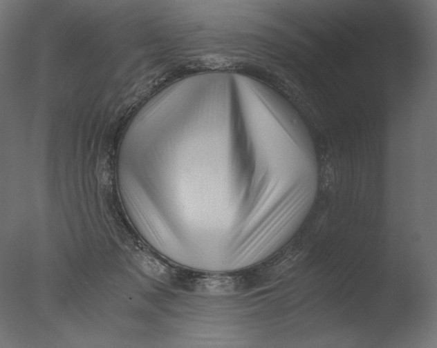 X0000076330317200610201711