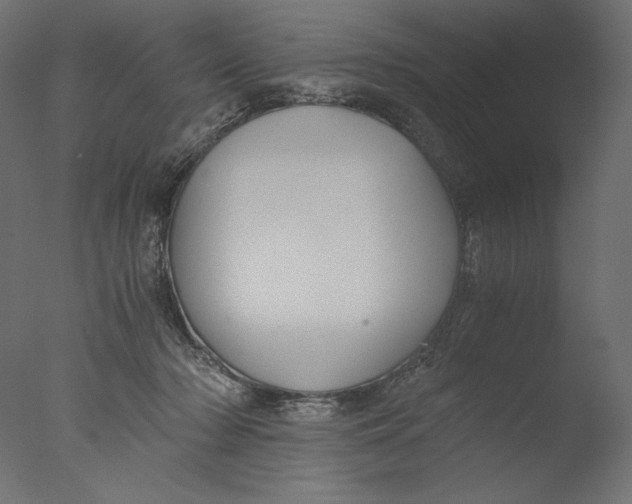 X0000076330318200610201711