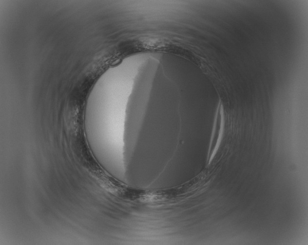 X0000076330319200610201711