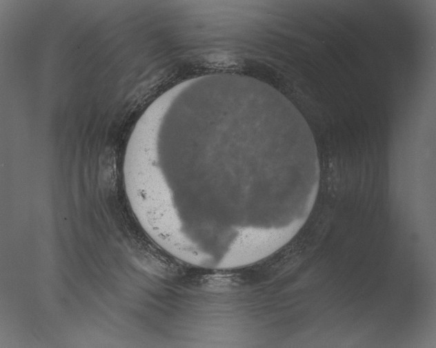 X0000076330320200610201711