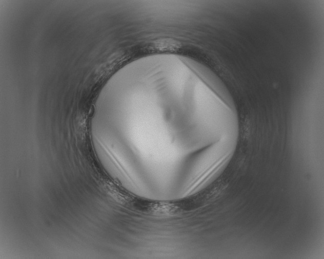 X0000076330321200610201711