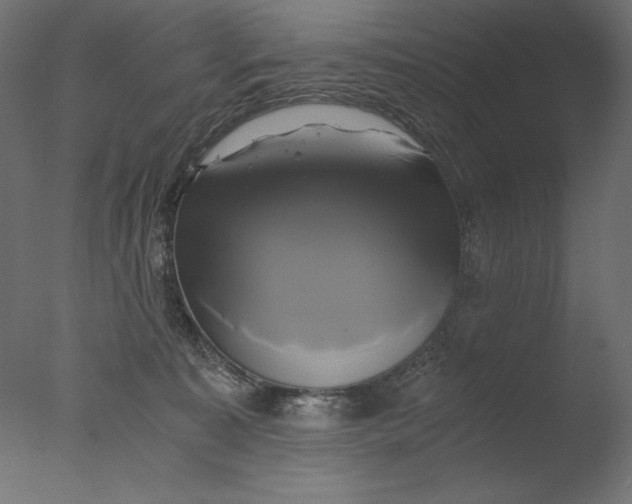 X0000076330323200610201711