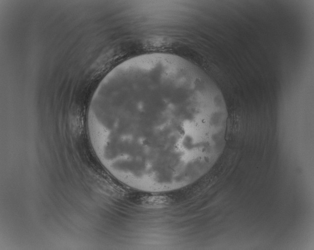 X0000076330324200610201711