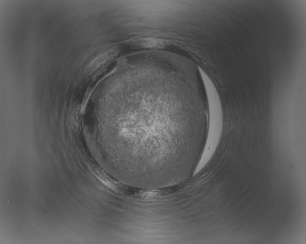 X0000076330325200610201711