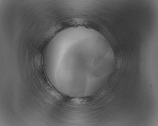 X0000076330326200610201711