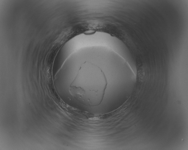 X0000076330327200610201711