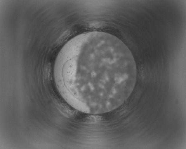 X0000076330328200610201711