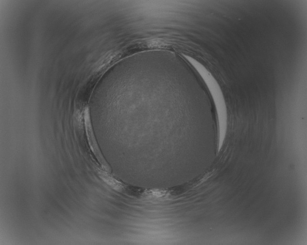 X0000076330329200610201711