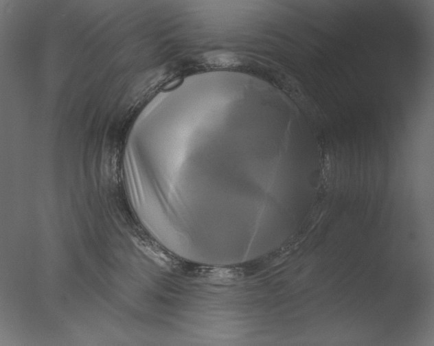 X0000076330330200610201711