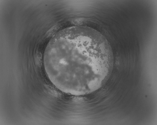 X0000076330332200610201711