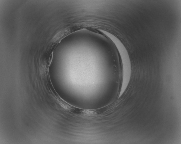 X0000076330333200610201711