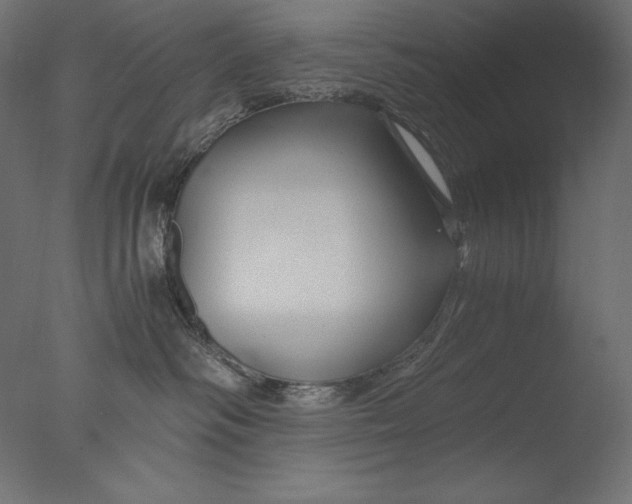 X0000076330334200610201711