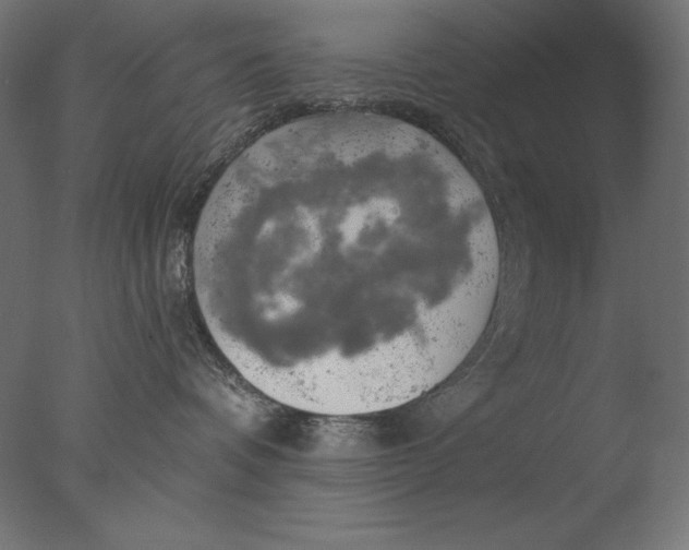 X0000076330336200610201711