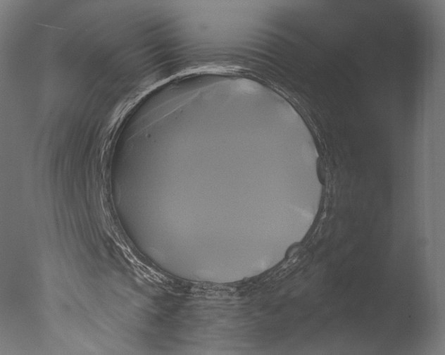 X0000076330337200610201710