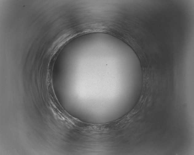 X0000076330338200610201710