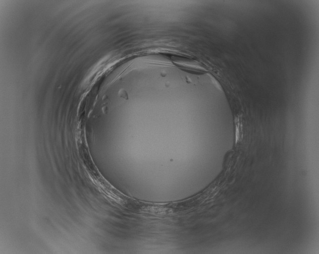 X0000076330339200610201710