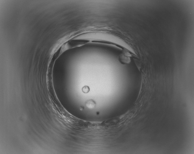 X0000076330340200610201710