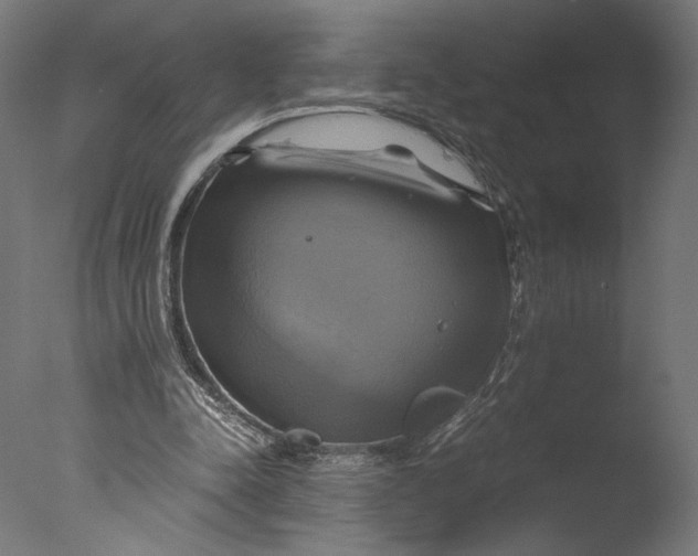 X0000076330342200610201710