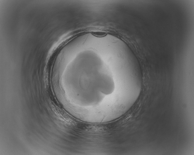 X0000076330343200610201710