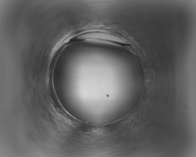 X0000076330344200610201710