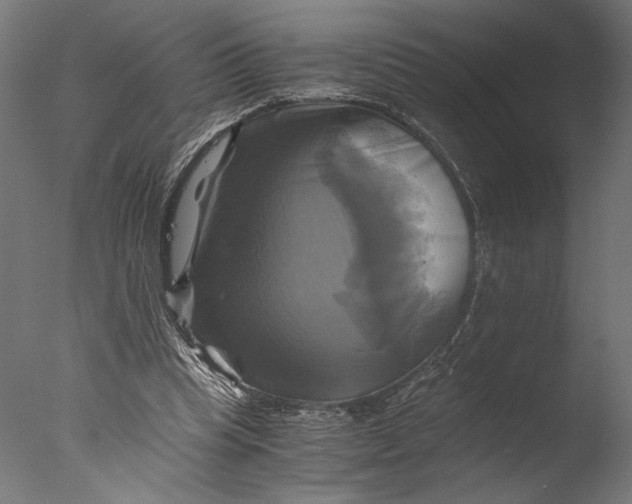 X0000076330345200610201710