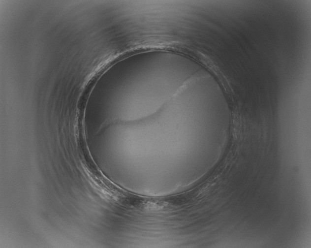 X0000076330346200610201710