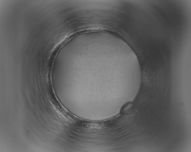 X0000076330347200610201710