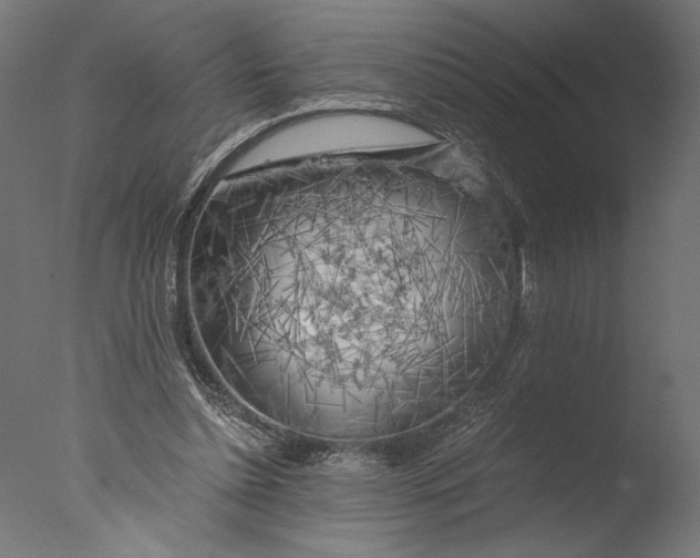 X0000076330348200610201710