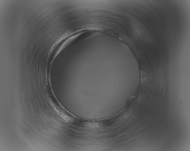 X0000076330349200610201710