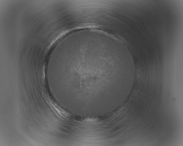 X0000076330350200610201710