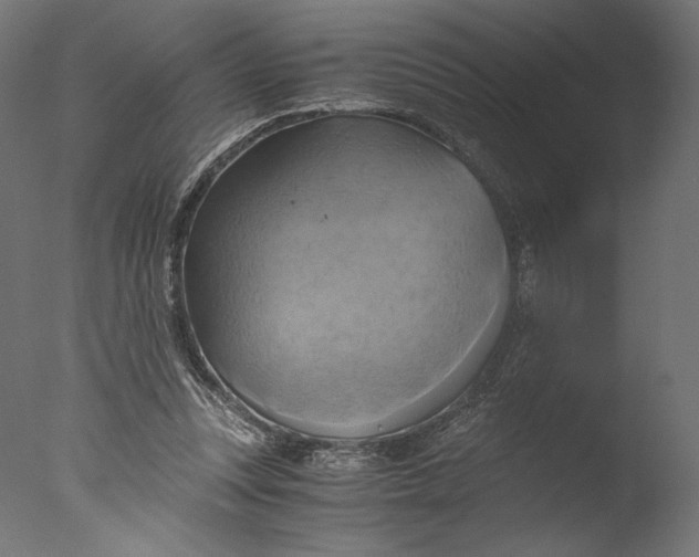 X0000076330351200610201710