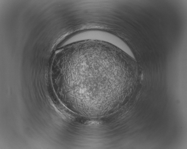 X0000076330352200610201710