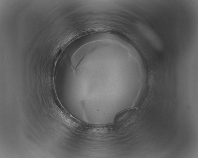 X0000076330353200610201710