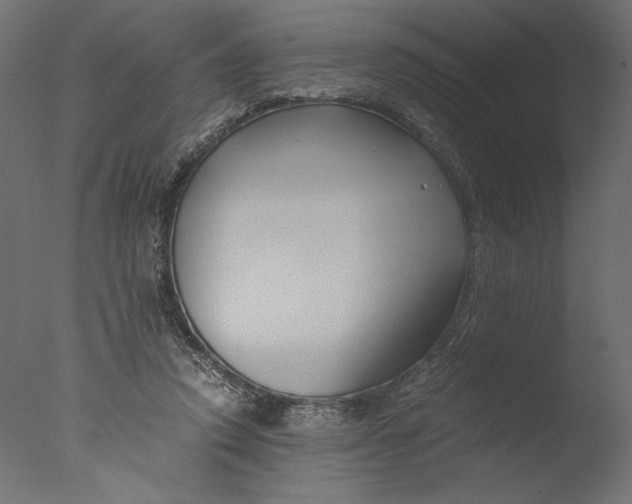 X0000076330354200610201710