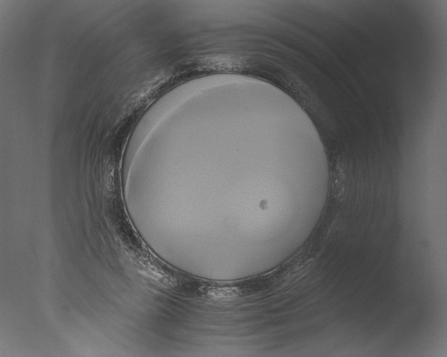 X0000076330355200610201711