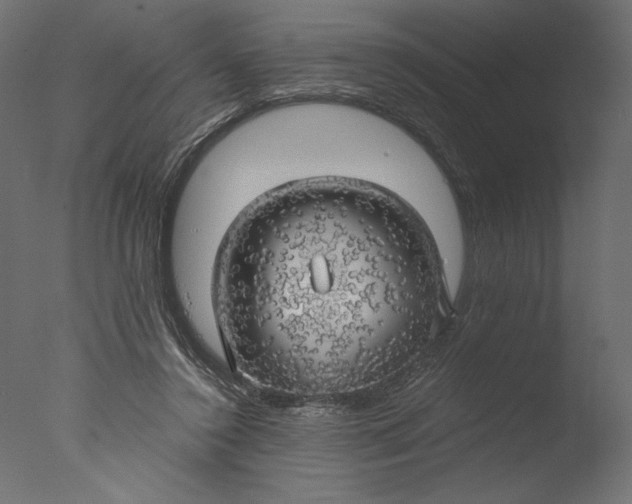 X0000076330356200610201711