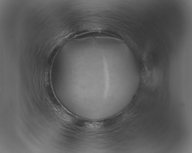 X0000076330359200610201711