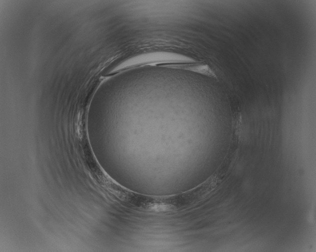 X0000076330360200610201711