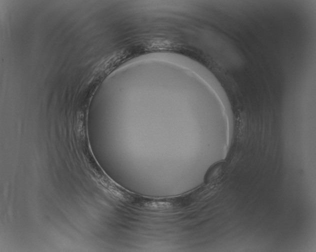 X0000076330361200610201711