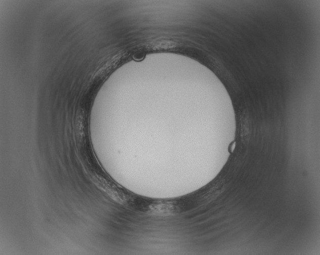 X0000076330362200610201711