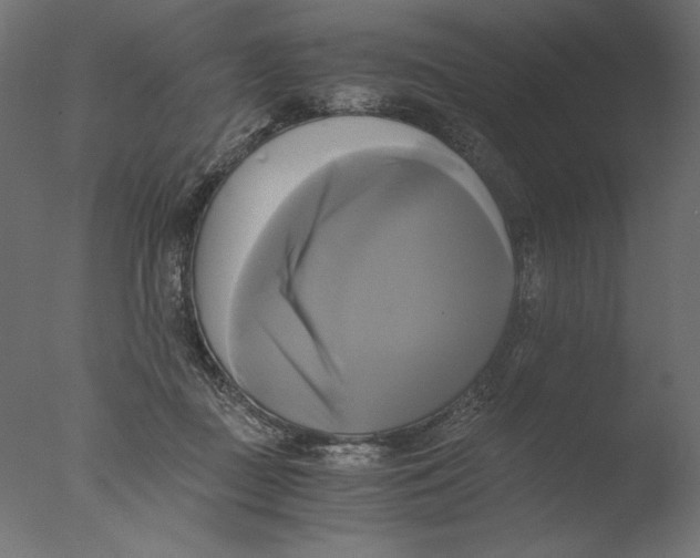 X0000076330363200610201711