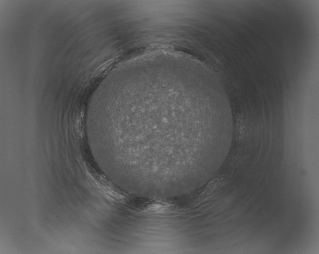 X0000076330364200610201711