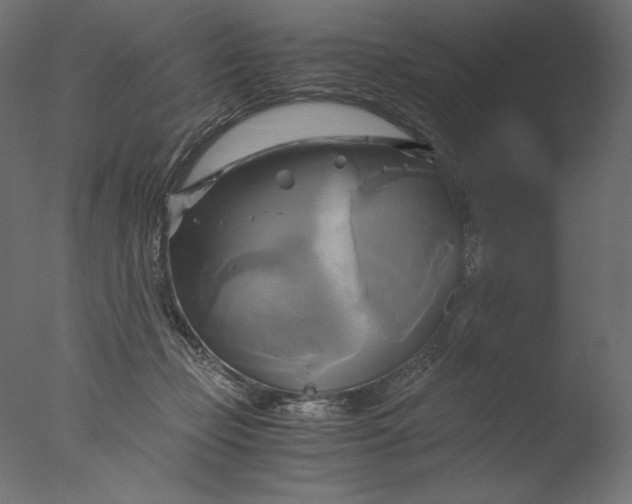 X0000076330365200610201711