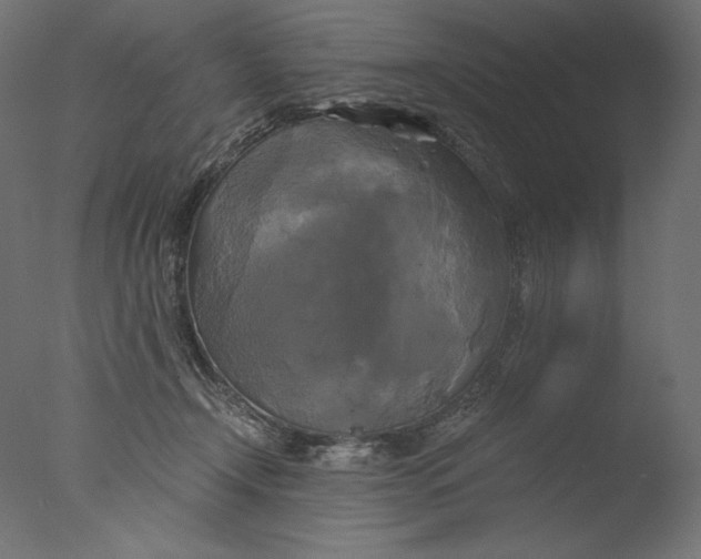 X0000076330366200610201711