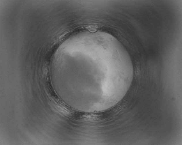 X0000076330367200610201711