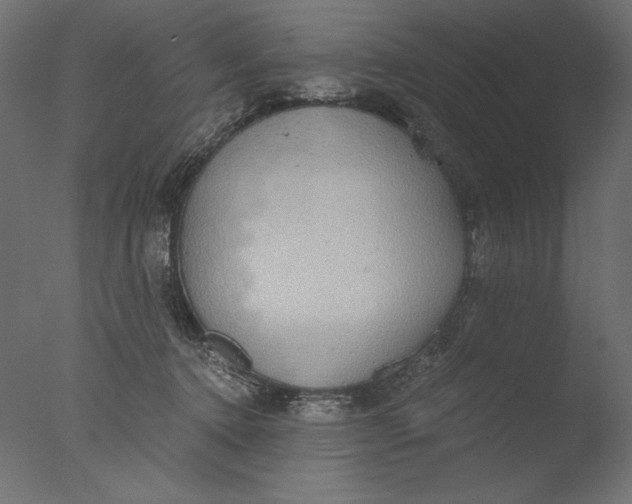 X0000076330368200610201711