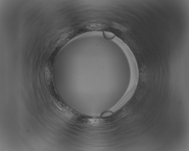 X0000076330371200610201711